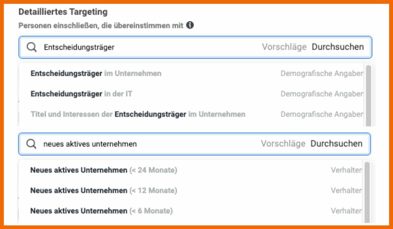 Hier siehst du die neuen B2B-Targeting-Optionen im Werbenanzeigenmanager
