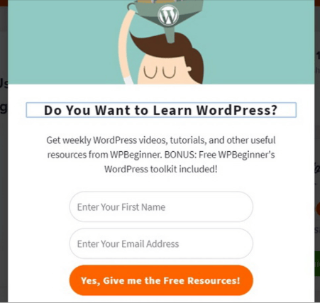 Der Screenshot zeigt das Opt-In-Formular von WordPress